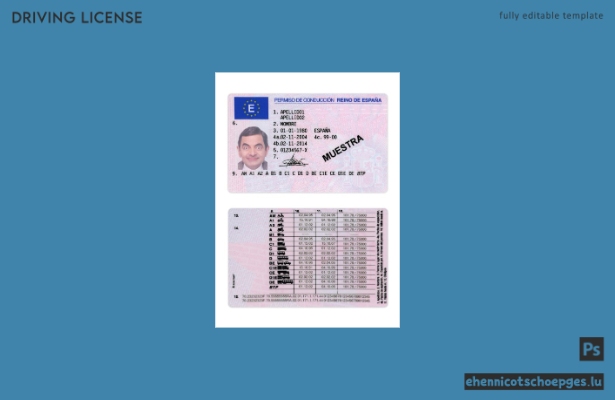 Spanischer Führerschein Version 2 – Beispielvorschau
